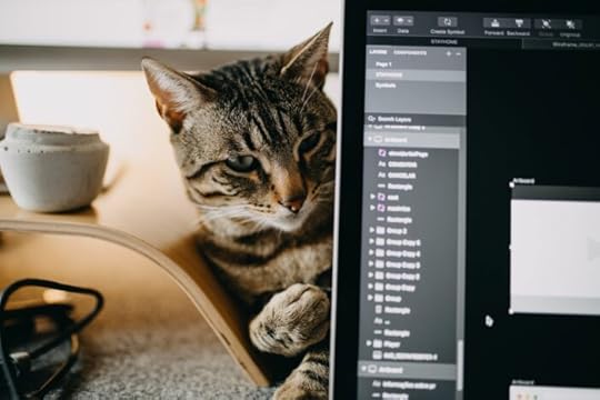 cat-zoom