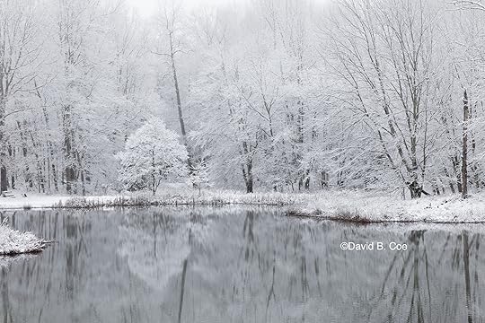 Winter Reflections, by David B. Coe