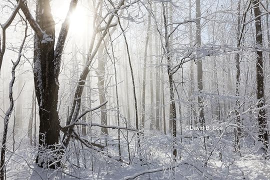 Snow and Mist I, by David B. Coe