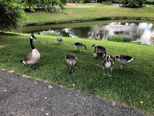 reason and reasonable