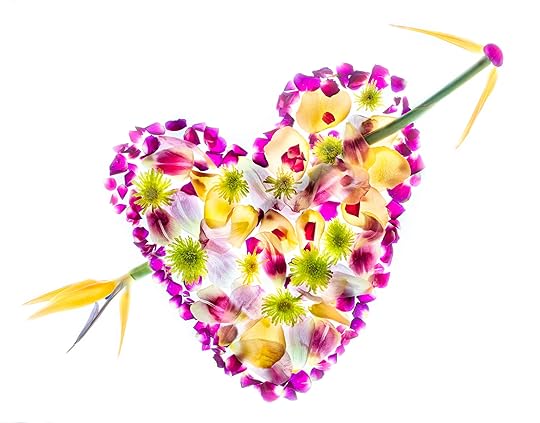 Translucent Heart © Harold Davis