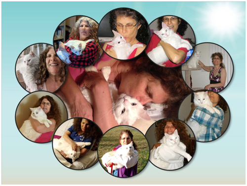 Pamela Cummins and merlin dreams