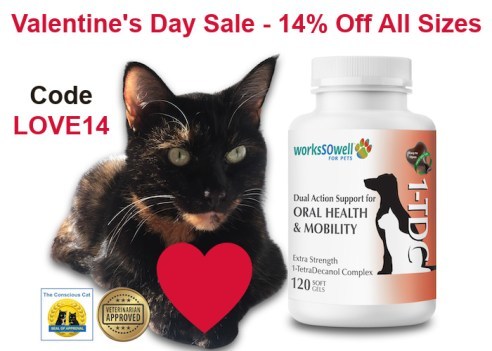 1TDC-valentines-sale