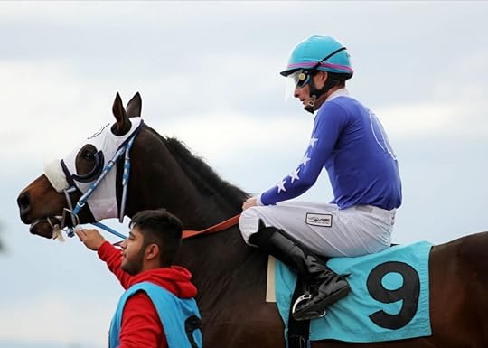 Image result for Online Service For Sports Betting