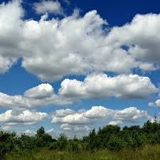 La imagen tiene un atributo ALT vacío; su nombre de archivo es images.jpg