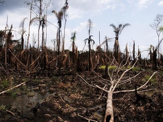 Niger Delta oil environmental disaster