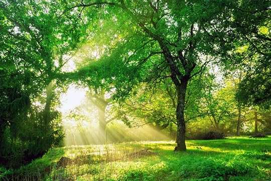 Plant a tree to build a forest