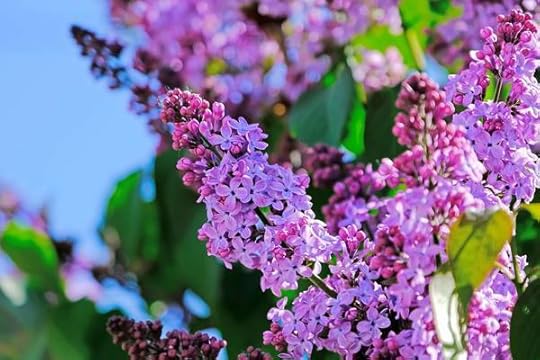 Formation Massage Ayurvedique Kerala