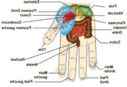 Formation Conseiller Nutrition Ayurvéda