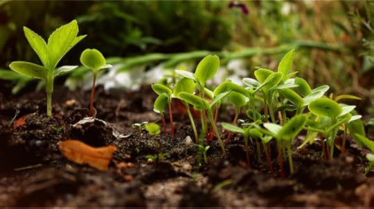 Formation Ayurvéda Inde