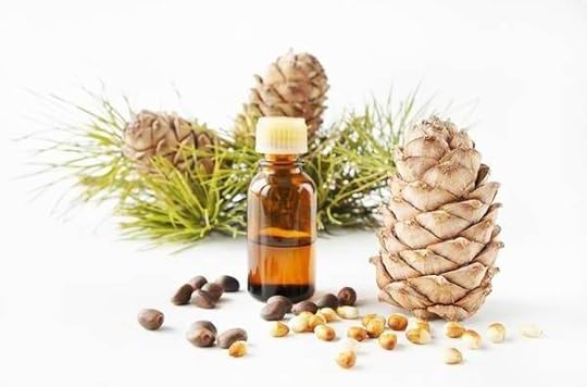 Formation Ayurvéda Toulouse