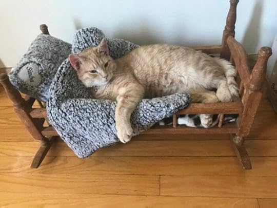 sherpa-cat-blanket
