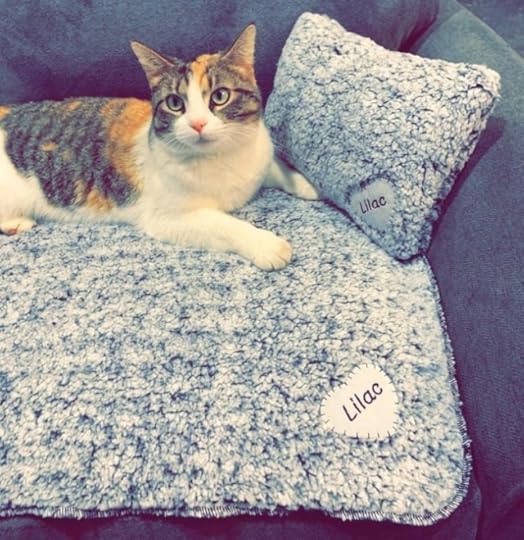 sherpa-cat-blanket-pillow