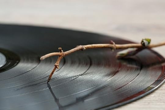 How to Clean Record Player Needle