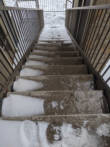 Slippery Ass Steps