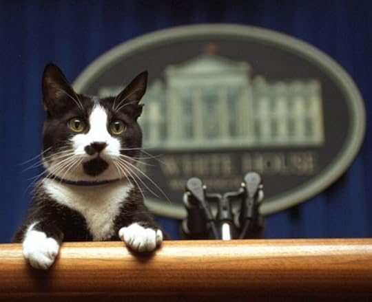 socks-clinton-white-house-cats