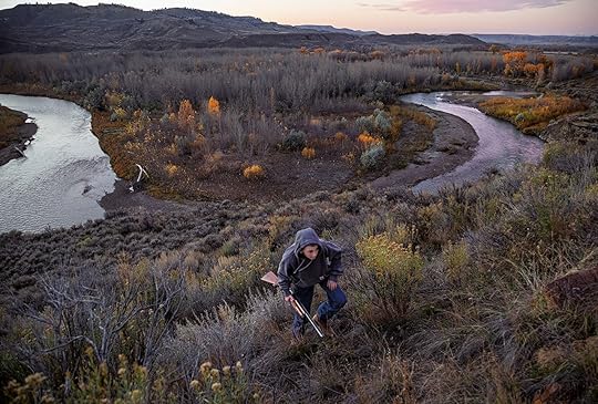 a young man, gun in hand, walking up a hill of brush and bushes