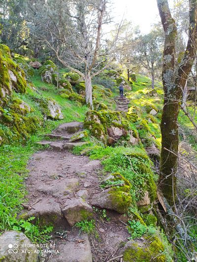En los cuentos de hadas, la naturaleza es bálsamo. Pero también es fuente de furias violentas como la de los volcanes o los animales salvajes.
