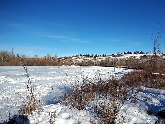 Bow River in winter