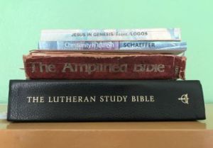 Old Testament study books