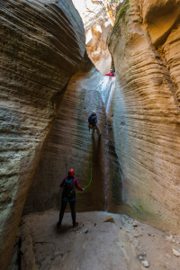 Climbing in Zion