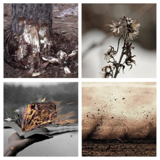 destructive-summer-aesthetic