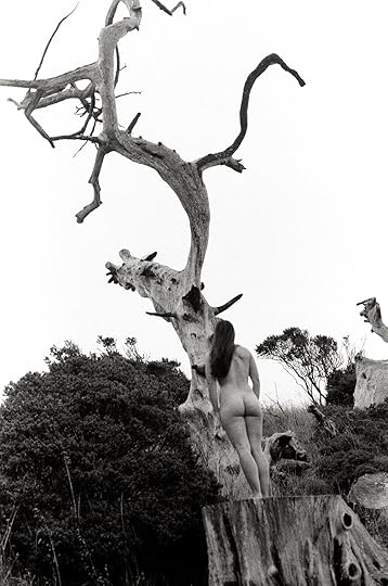 looking at dead-tree-1121_33.jpeg