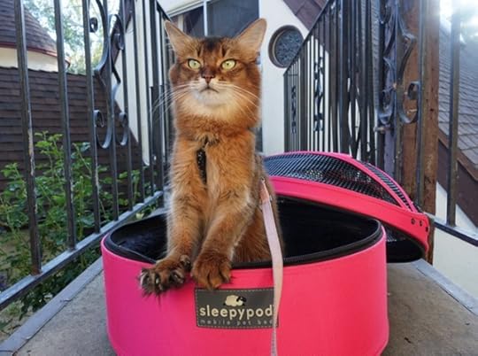 Summer-Sleepypod