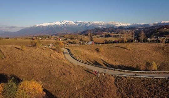 Sirnea