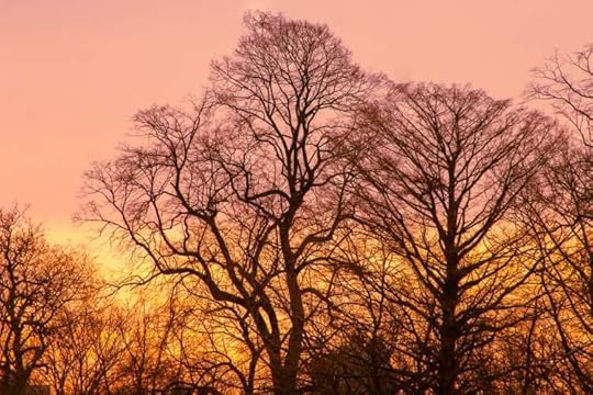 Beautiful winter sunrise photography