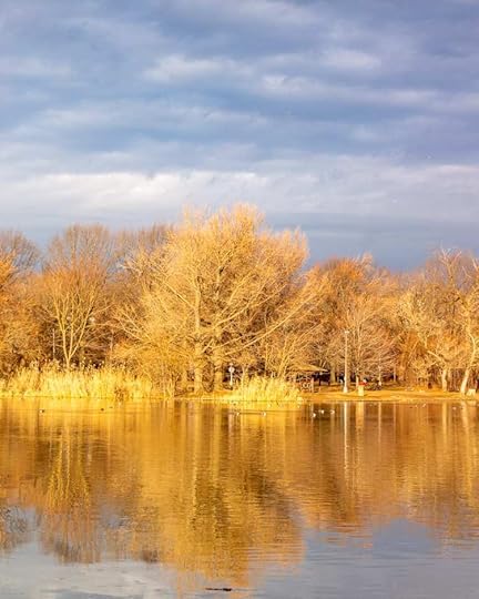 Beautiful Nature Photo Winter Sunrise