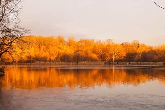 Landscape Photograph the colors of winter