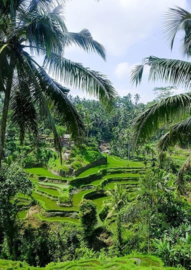 Forest provides habitat