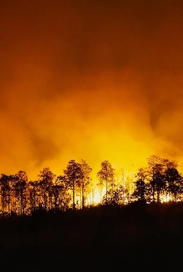 Save Trees from wildfires