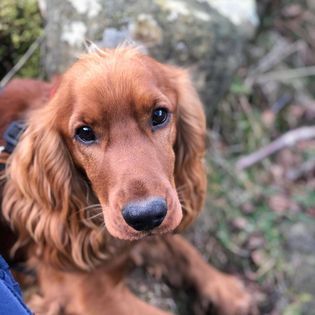 No photo description available.