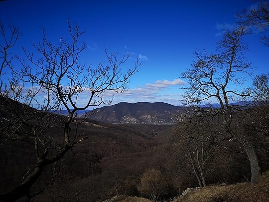 img_20210227_114259.jpg