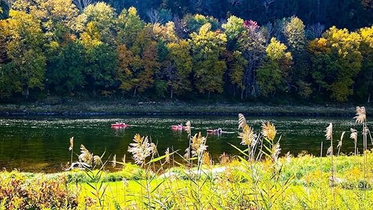 Lander's River Trips