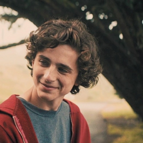 timothee chalamet aesthetic | Explore Tumblr Posts and Blogs | Tumgir