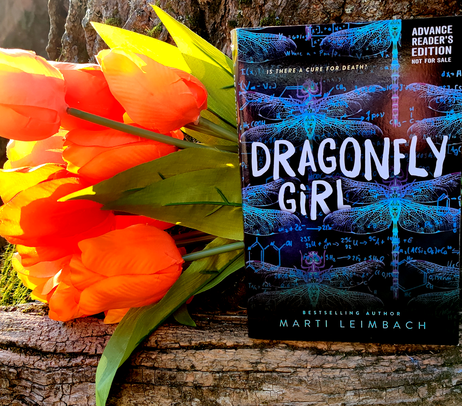 Dragonfly Girl by Marti Leimbach