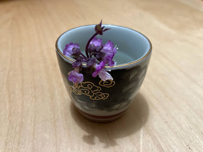 Thai basil flowers in a saki cup