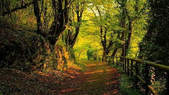 Tree | Mute Expressions