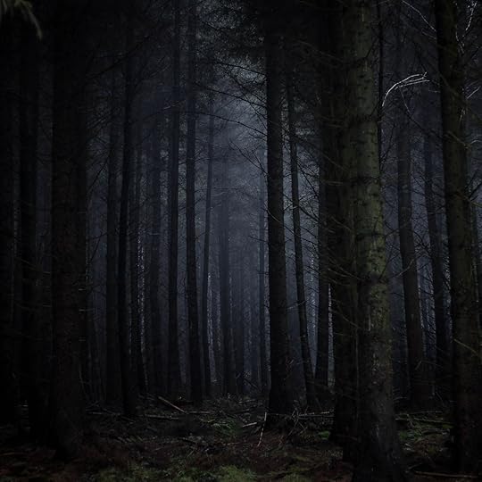 The Dark Forest Theory of the Internet | by Yancey Strickler | OneZero