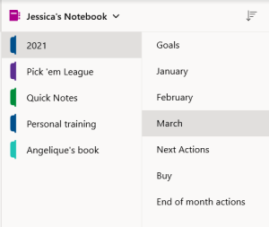 OneNote notebook image