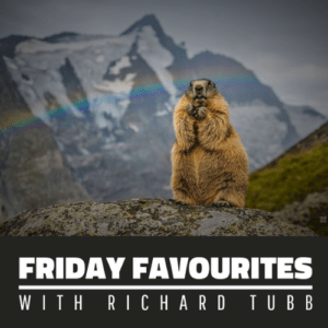 Microsoft Bing Wallpaper