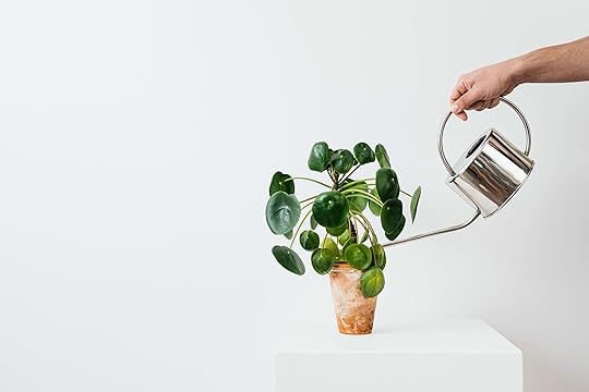 man watering potted plan