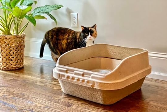 Jumbo_Kitty_Sift