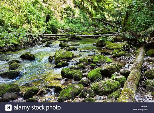 Landscape with lush forest and a river flowing through mossy boulders Stock Photo - Alamy