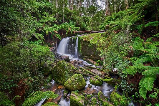 River running among lush forest Photograph by Chris Hase