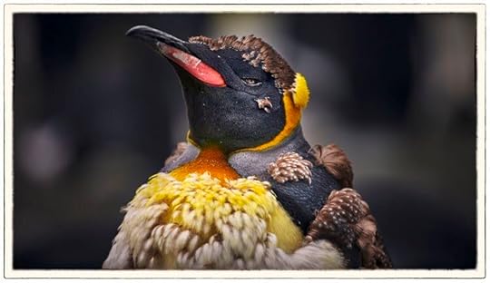 Photograph by Peter Eastway
