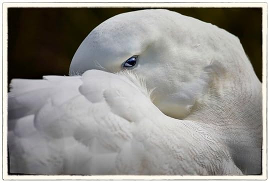 Photograph by Peter Eastway